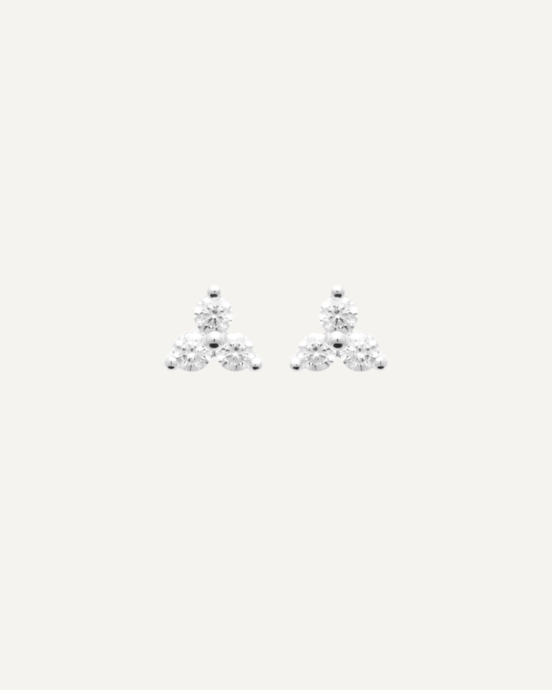 PUCES - LILOU